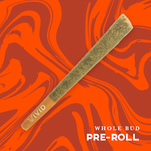 VIVID - VIVID - TROP CHERRY 1 GRAM PRE-ROLL