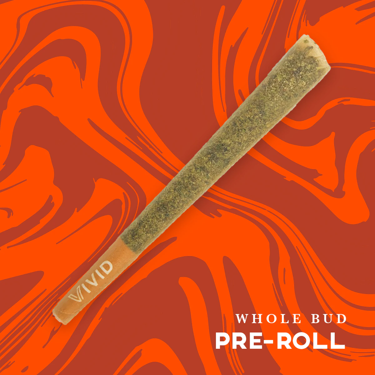Vivid - VIVID - TROP CHERRY 1 GRAM PRE-ROLL Main Image