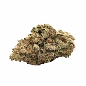 VIVID - VIVID - GREASE MONKEY 3.5 GRAMS