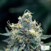 VLSNY | Sherbanger #22 | 3.5g