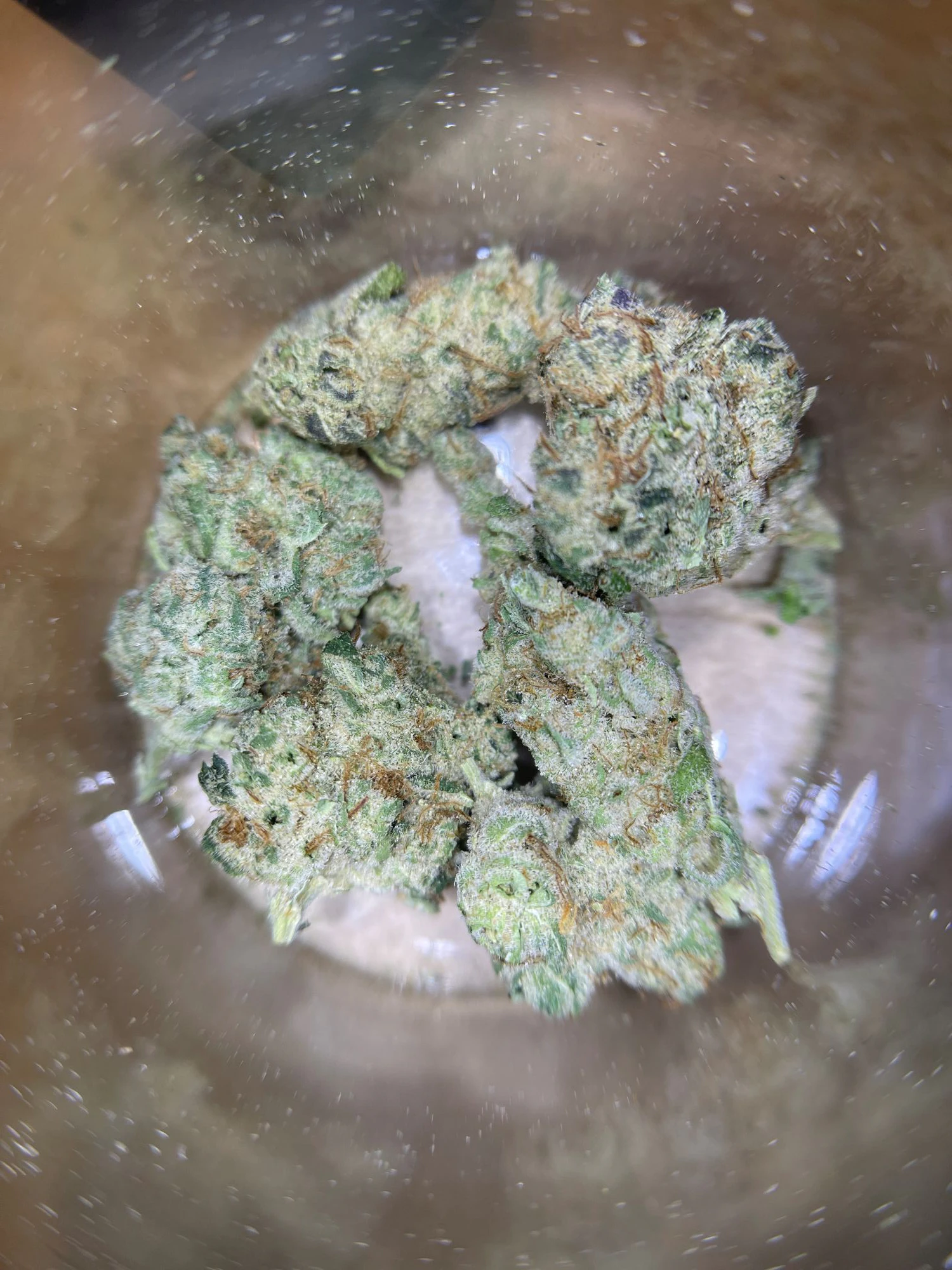 Verist Fields Grown - IX | Verist Fields | Valley Frost | 3.5g Main Image