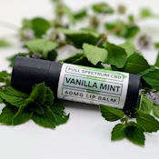 Lip Balm - Vanilla Mint