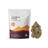 Tuscan Gelato - 14g Smalls (Venterra)