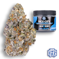 Vice City Flower | Eighth Special