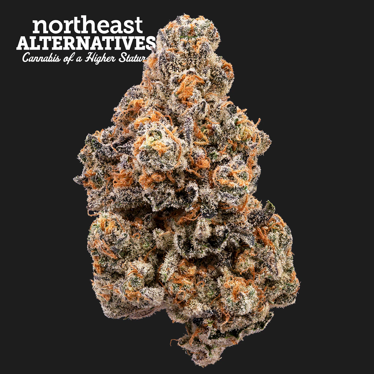 northeast alternatives - Violet Vixen Flower - 3.5g - NEA Main Image