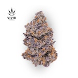 Jealousy Bulk Flower - VIVID FARMS