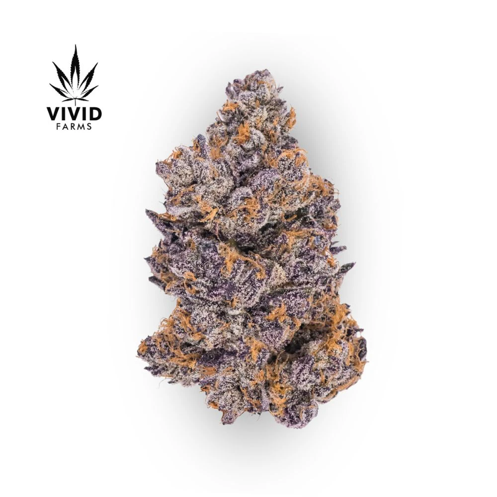 Vivid Farms - Jealousy Bulk Flower - VIVID FARMS Main Image