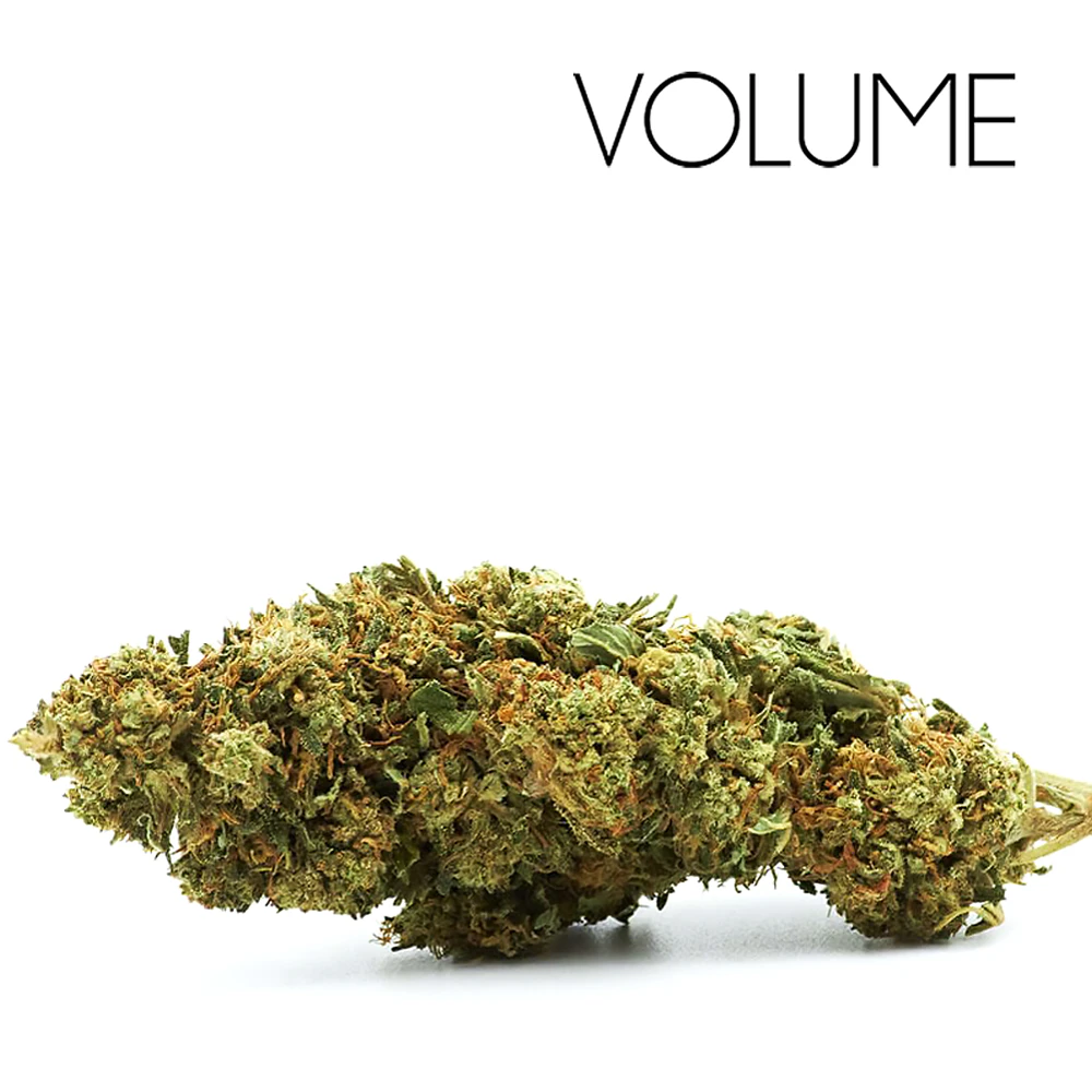 Volume - Lemon Haze (Eighth) Main Image