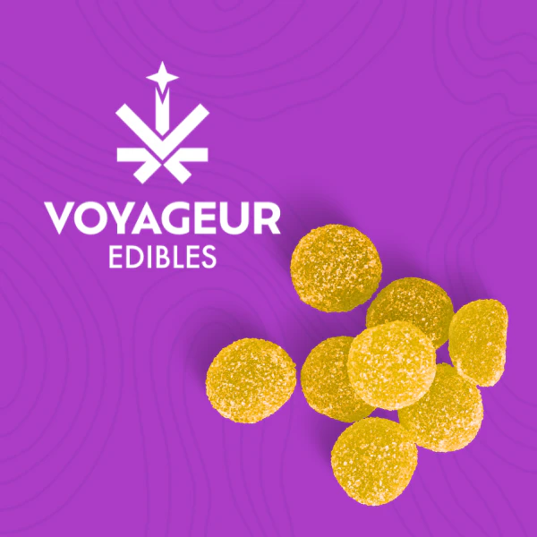 Voyageur Edibles - Gummies | Pineapple 10mg THC | 10 count Main Image