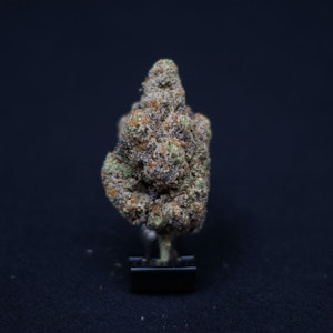 THE HEMPIRE COLLECTIVE - THC | Waffles