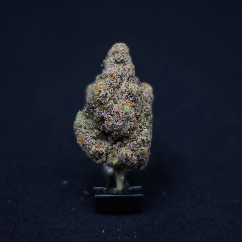 The Hempire Collective - THC | Waffles Main Image