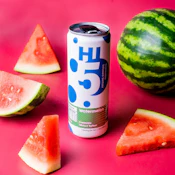 Watermelon Seltzer 4pk - 20mg - TWI