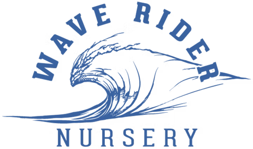 WAVE RIDER - WAVE RIDER | MOTOR BREATH | FLOWER | 7G