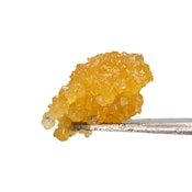 West Coast Cure | Chemdog | Live Resin Sugar | [1g] | Hybrid