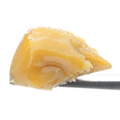 WCC Purple Cream Live Resin Badder (I) 1g