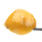 [West Coast Cure] Live Resin Badder - 1g - Tropical Zlushie (H)