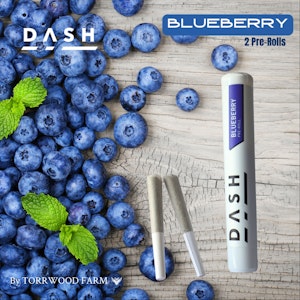 Dash - DASH | Blueberry | .5G 2 Pk
