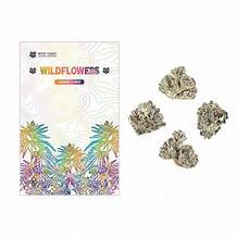West Coast Trading Company - West Coast Trading Company - London Poundcake - 3.5g Flower Main Image