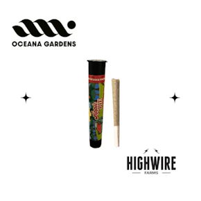 Oceana Gardens Apple Pie Live Rosin Infused Preroll 1g