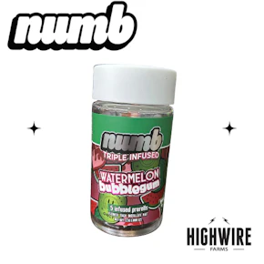 Numb Watermelon Bubblegum Infused 5pk 2.5g
