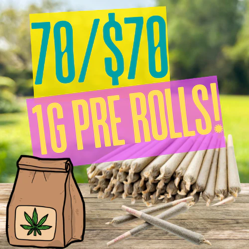 Oceana Gardens - 70/$70 Highwire Bundle Preroll Pack 70g (70 x 1g) Main Image