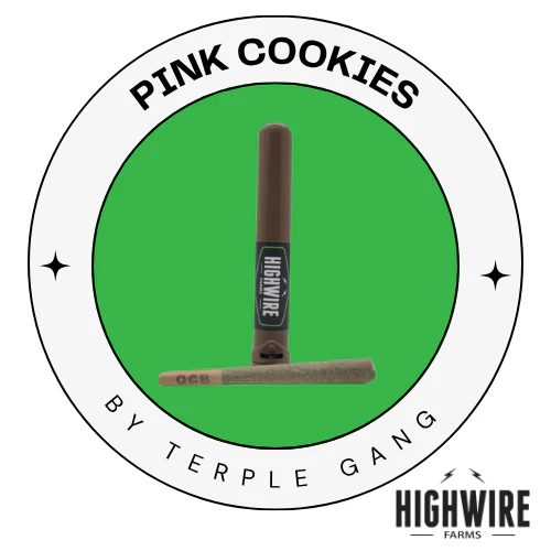 Terple Gang - Pink Cookies Preroll 1g Main Image