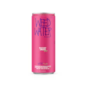 Sparkling Razz Mint Limeade Haze Beverage 10mg