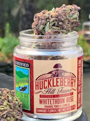 HUCKLEBERRY HILL | WHITETHORN ROSE | FLOWER | 7G