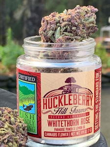 RIDGELINE FARMS - HUCKLEBERRY HILL | WHITETHORN ROSE | FLOWER | 7G
