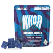 WHOA - Nano Gummy 100mg 5pk - Indica Blueberry