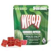 WHOA - Nano Gummy 100mg 5pk  - Hybrid Watermelon