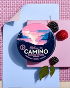 Wild Berry - 100mg - Camino