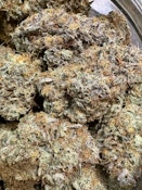 Wild Apple Fritter | Brazen Earthworx