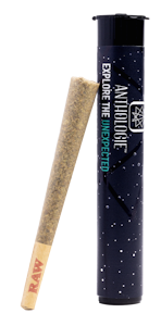 ANTHOLOGIE - Underground Tangie 1g Preroll