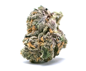 Wave Rider - Runtz Smalls 28g