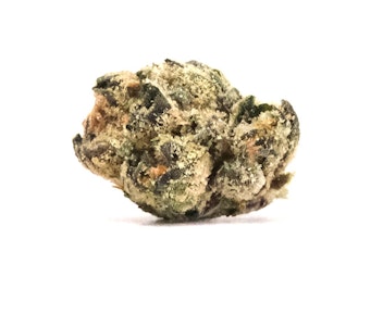 Wave Rider - Gelato 33 Smalls 14g