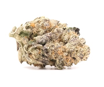 Wave Rider - Gary Payton Smalls 3.5g