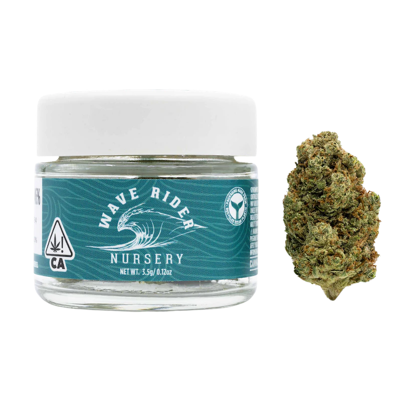 Wave Rider - Purple Milk - 3.5g (H) - Wave Rider Main Image