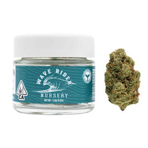 Wave Rider - RS-11 - 3.5g (H) - Wave Rider