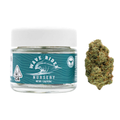 Glueberry OG - 3.5g (H) - Wave Rider