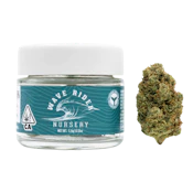 Jet Fuel OG - 3.5g (H) - Wave Rider