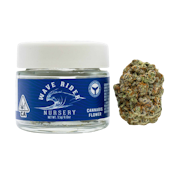 Blueberry Pancakes - 3.5g (I) - Wave Rider