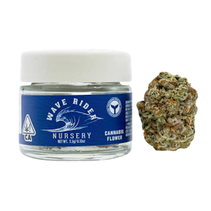Wave Rider - Blueberry Pancakes - 3.5g (I) - Wave Rider