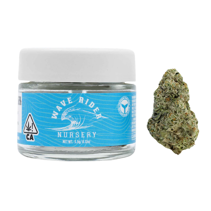 Wave Rider - Fruit Punch - 3.5g (S) - Wave Rider Main Image