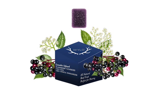 WYLD - WYLD - Edible - Elderberry - 2:1 - THC:CBN - Indica - Gummies - 10PK - 100MG