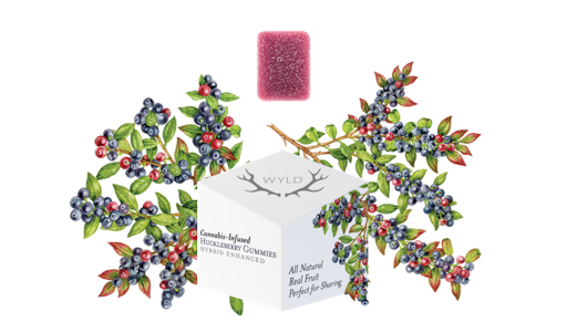 WYLD - WYLD - Edible - Huckleberry - Hybrid - Gummies - 10PK - 100MG