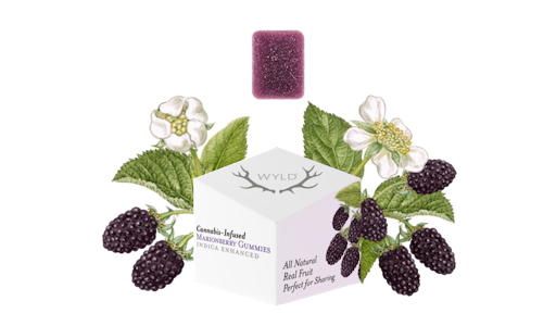 WYLD - WYLD - Edible - Marionberry - Indica - Gummies - 10PK - 100MG