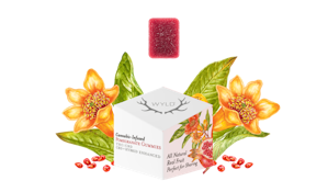 WYLD - Edible - Pomegranate - 1:1 - THC:CBD - Gummies - 10PK - 100MG