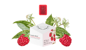 WYLD - Edible - Raspberry - Sativa - Gummies - 10PK - 100MG