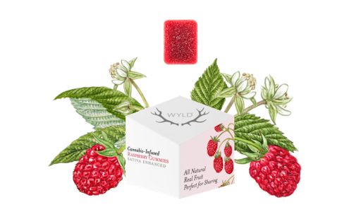 WYLD - WYLD - Edible - Raspberry - Sativa - Gummies - 10PK - 100MG